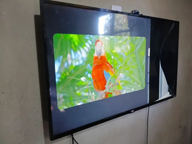 Tv com defeito.