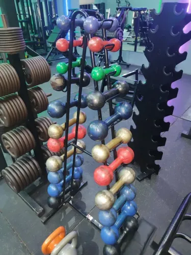 Jogo de halteres emborrachados com suporte 