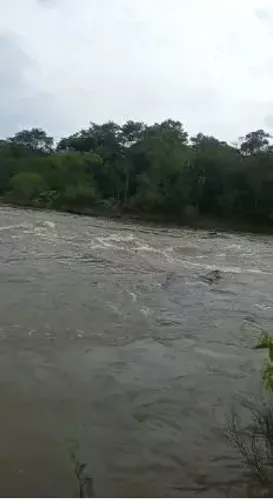 Fazenda 8.800 Hectares na região do município da cidade de Santiago do Norte
