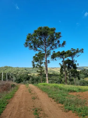Sítio a venda no Diamante do Sul