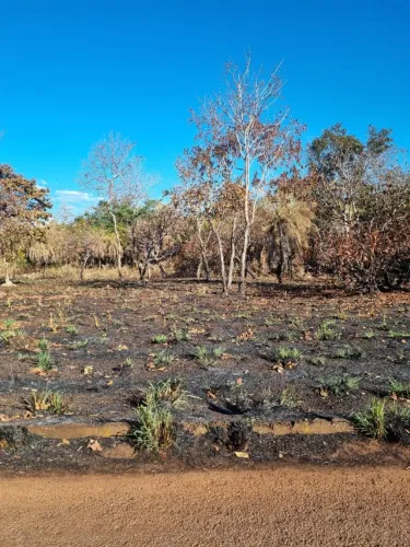 Ótimo lote em Luzimangues, Porto Nacional - TO