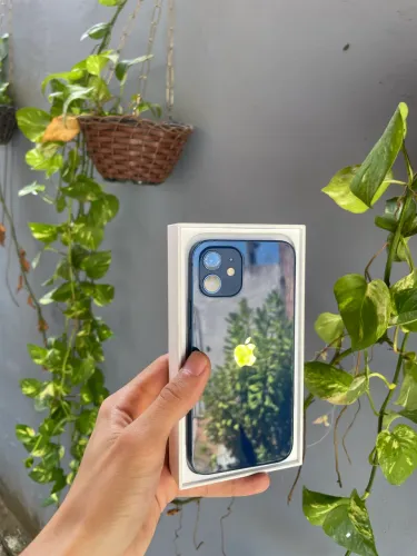 iPhone 12