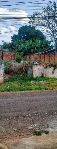 Terreno próximo,a winston churchill