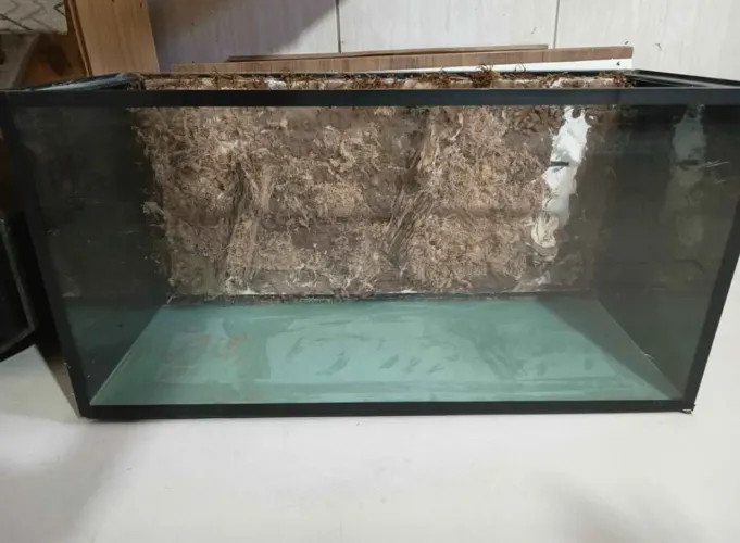 Aquário / Terrário