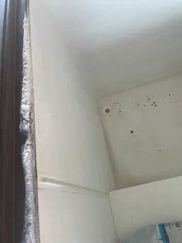 Freezer Cônsul Uma Porta Semi Novo