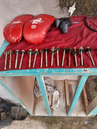 parafusos para telhado ,15 parafusos ja vai com as bichinhas 