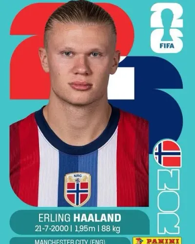 Figurinha Halland - copa 2026