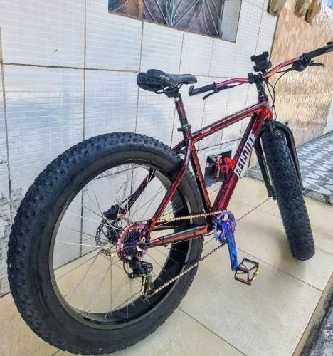 Fat bike