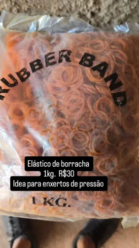 Elástico de borracha