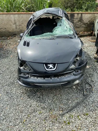 Peugeot 207 1.4 Flex
