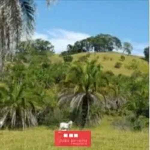 Fazenda para Venda em Morrinhos