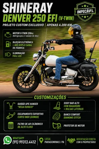 Shineray Denver 250 customizada