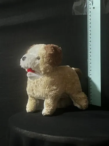 Pelucia