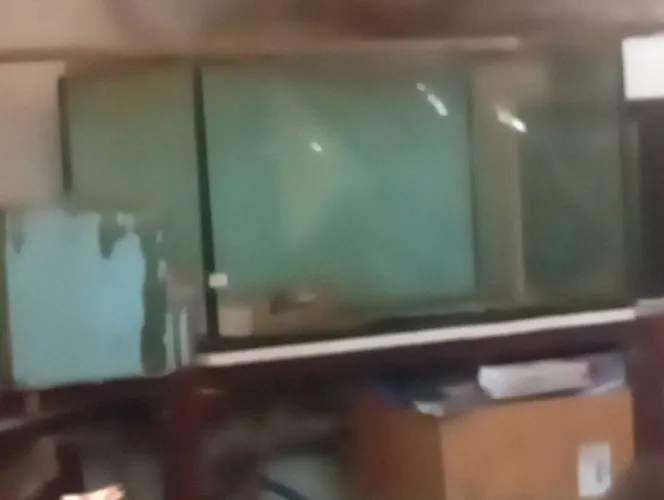 Vendo aquários valor no PV 