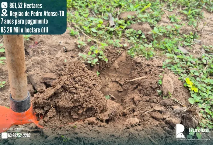Região de Pedro Afonso TO, 7 anos para pagamento, R$ 26 mil o hectare útil
