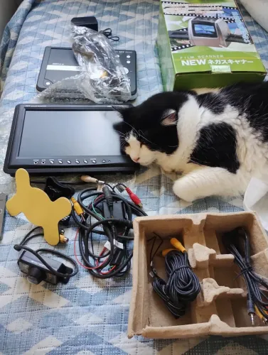 Câmera e monitor para carro