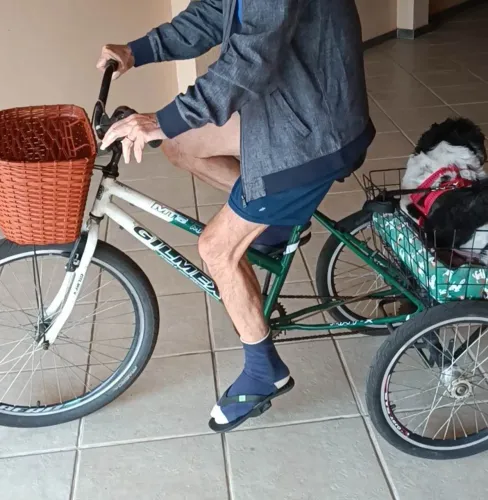 Bicicleta Triciclo adulto
