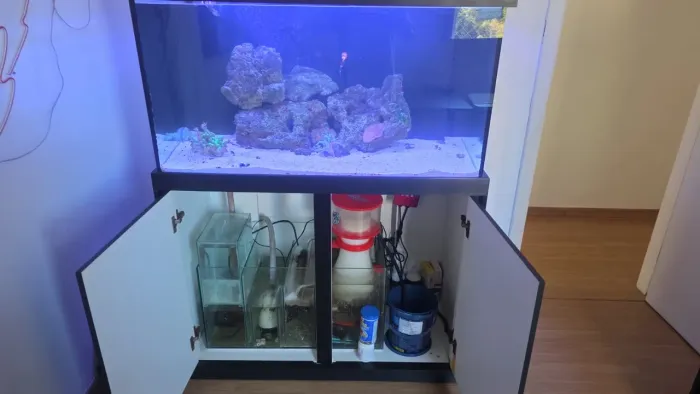 VENDO LINDO AQUÁRIO