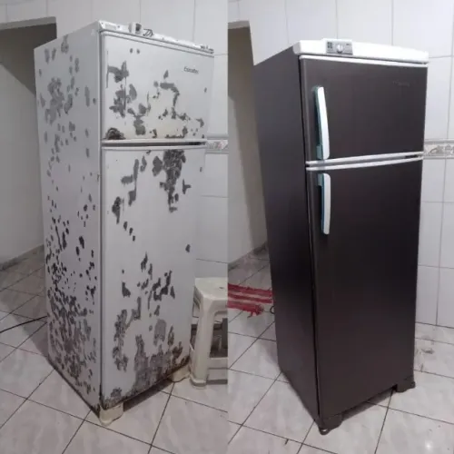 renova geladeira 1 e 2 portas