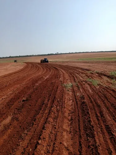 Fazenda TACURU MS 562 hectares 