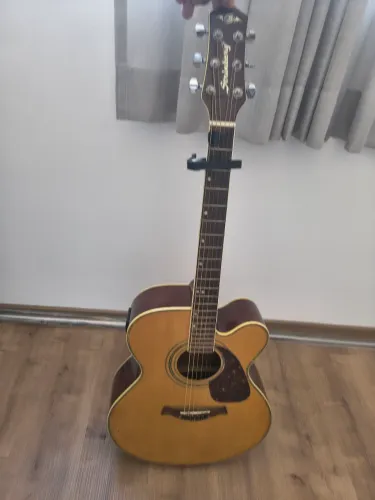 Violão Strinberg Aço
