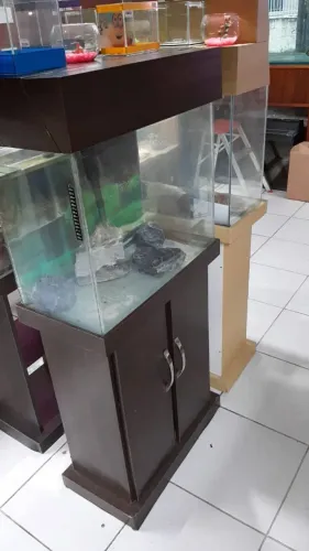 Aquário com Móvel 60x30 500,00