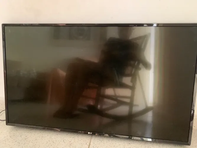 Televisão LG 43 polegadas