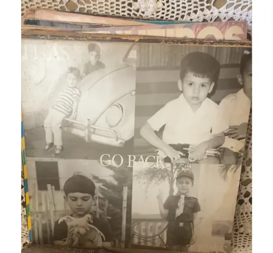 Vinil LP Titãs ?Go Back?