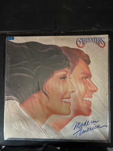 Lp vinil carpenters