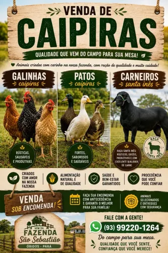 Galinha Pato Carneiro