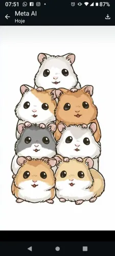 HAMSTERS SÍRIOS FILHOTES LEGÍTIMOS