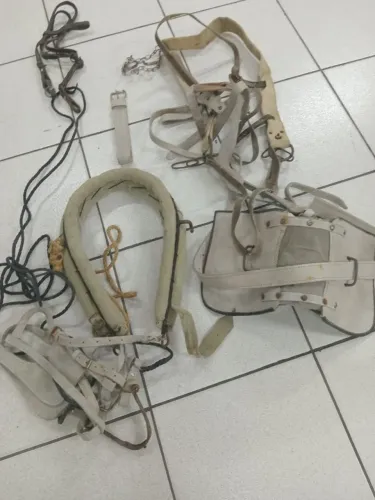 SELAS DE CAVALHO/GUIAS COMPLETO