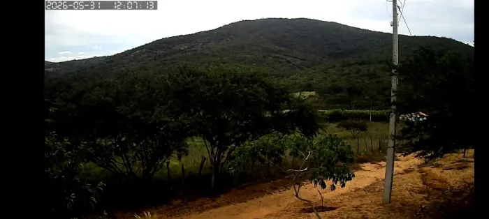 Vendo fazenda com 32 hectares sendo 11 hectares de capim