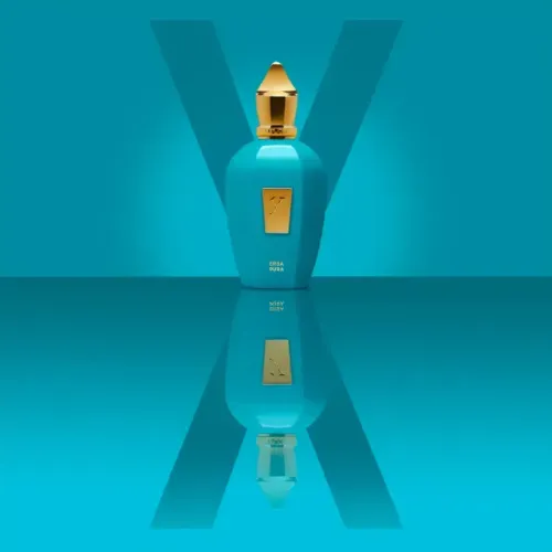 Perfume Xerjoff Erba Pura - Eau de Parfum - Unissex - 100 ml