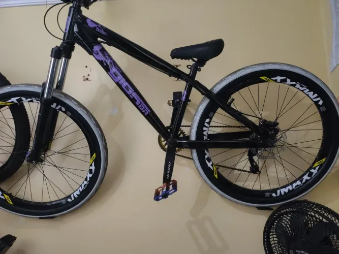 Bicicleta