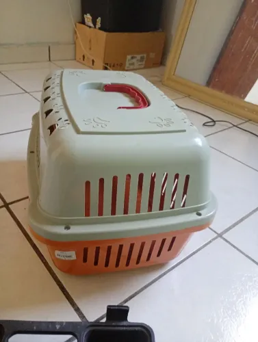 Casa pra Gato