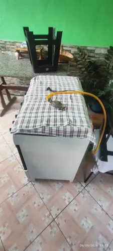 Fogão a gás com click e mangueira 
