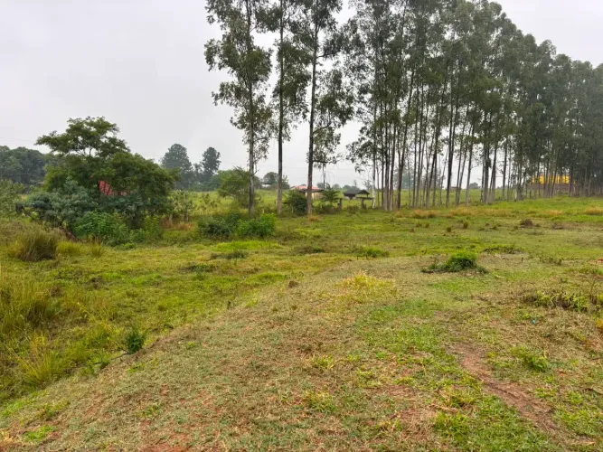 Excelente terreno de 1.000m² na cidade de Quadra - SP