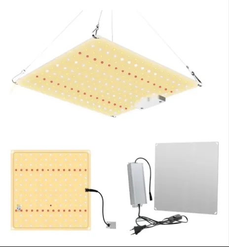samsung quantum board