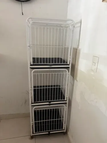 Equipamentos para banho e tosa