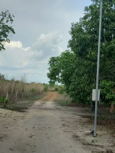 Vendo Chácara com Casa, 10 alqueires=484.000 m², Pasto, energia, perto do rio