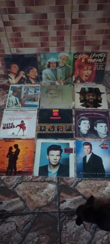Lote de disco de vinil 