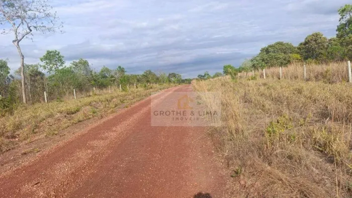 Fazenda à venda, m² por R$ 20.520.000,00 - Zona Rural - Paranã/TO