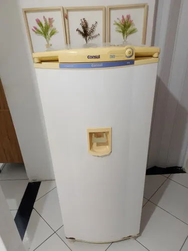 Geladeira Consul 319 L