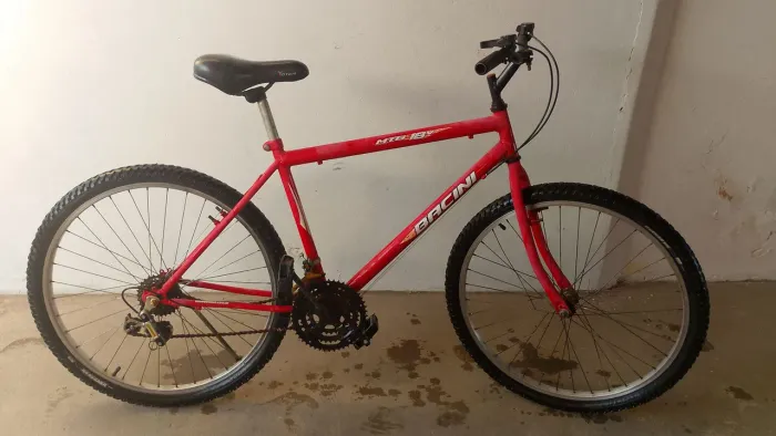 Bicicleta Bacini Aro 26