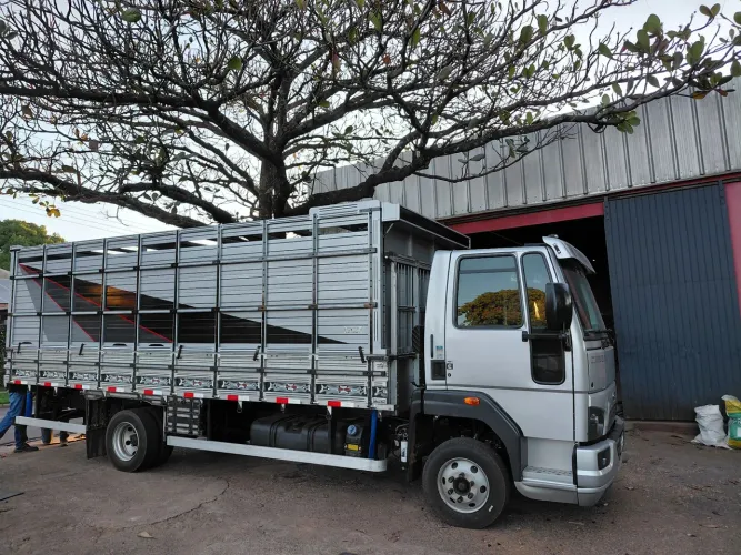CARGO 816 ,2019 BOIADEIRO 39MIL KM RARIDADE!!