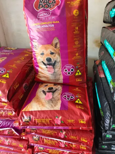 Raça dog mix 