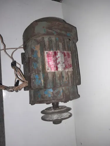 Motor trifásico
