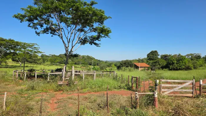 Vendo ou Troco_Lote Assentamento Flórida