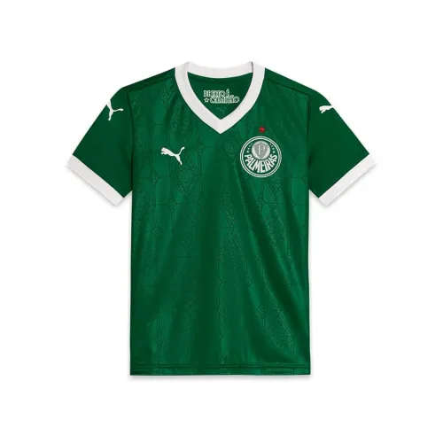 Camisa Palmeiras 2025 - Juvenil 14